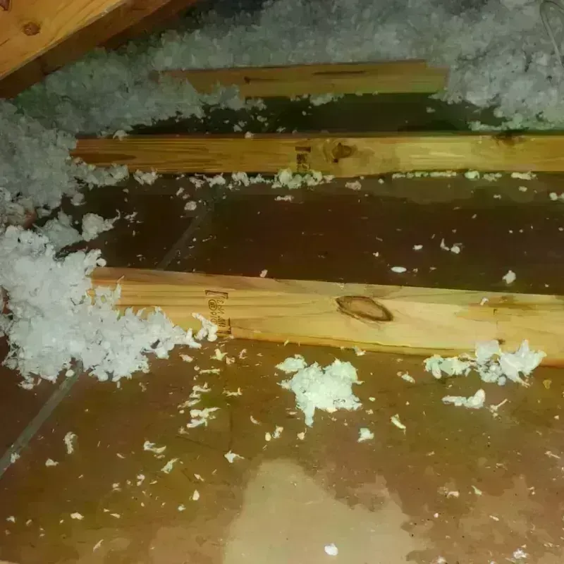 Attic Water Damage in Kenmore, NY