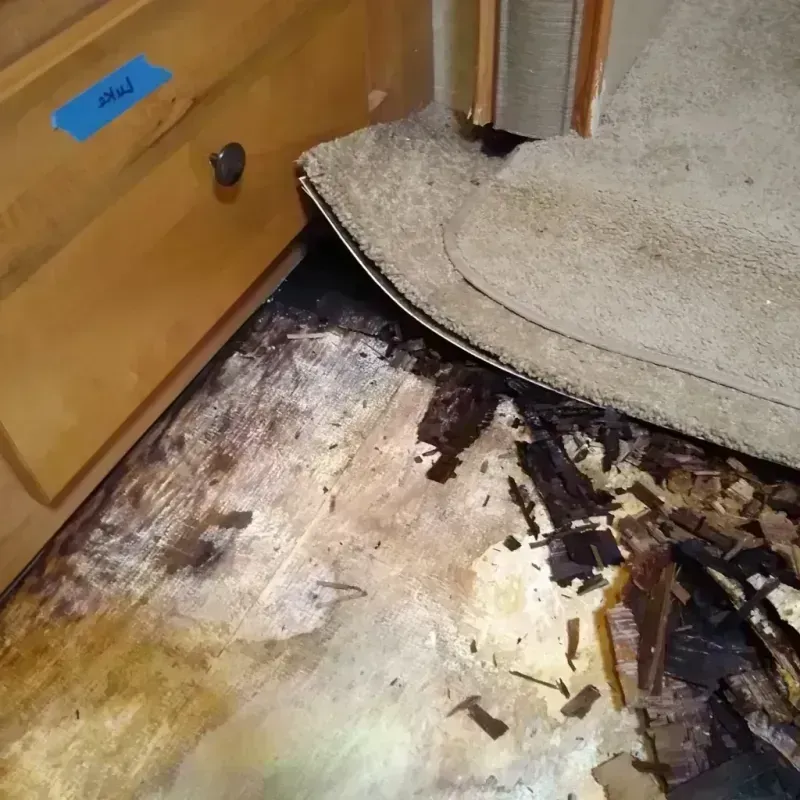 Best Wood Floor Water Damage Service in Kenmore, NY